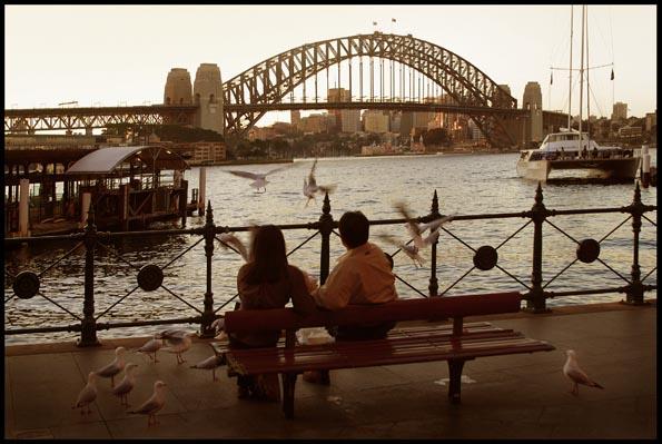 a couple feeding seagulls at Circular Quay with the Harbour Bridge