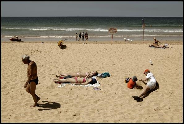 sunbathers at Manly Beach