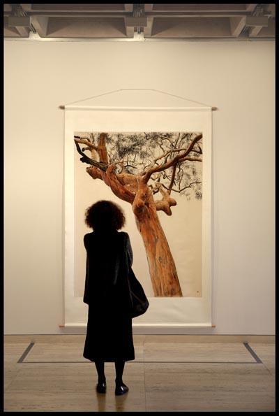Art Gallery of NSW, woman contemplating painting of a tree