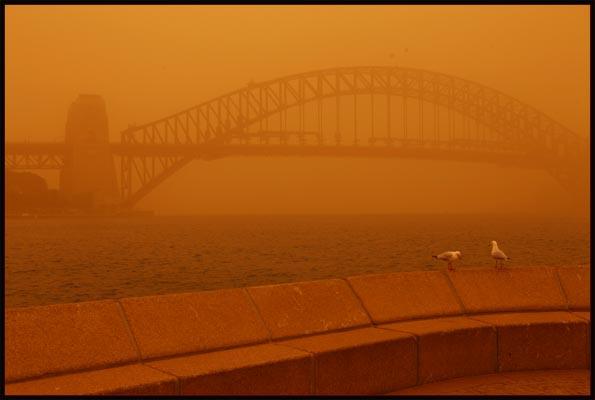 obscured Harbour Bridge and two seagulls in Sydney's dust storm of 23 September 2009