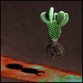 09 Cactus Sml