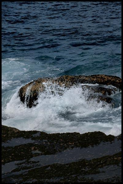 AD007 Large