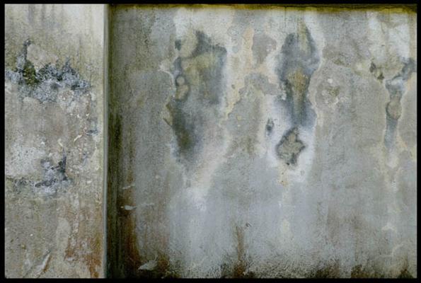 KA003 Large