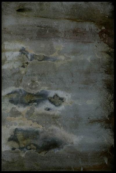 KA013 Large