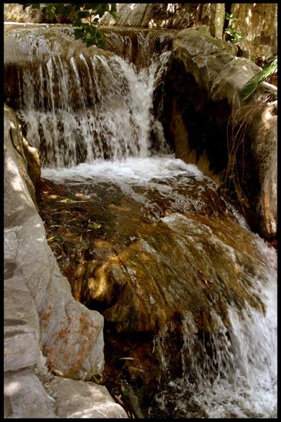 CA010 Large
