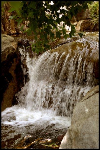 CA011 Large