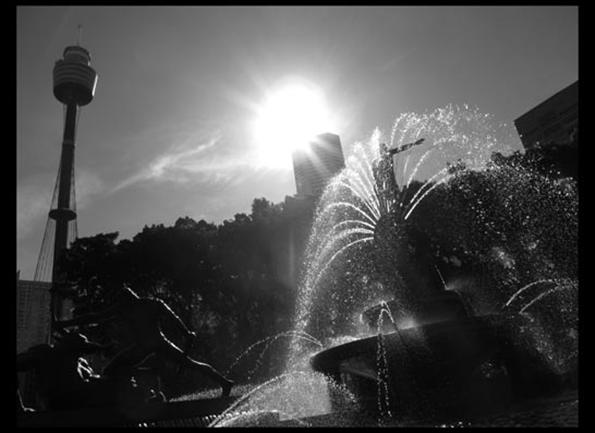 G10 0205 Large