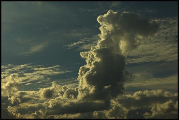 GA017 Large