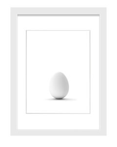 00 Egg In Frame