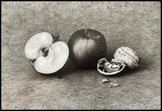 7141 Apple & Nuts Still Ife