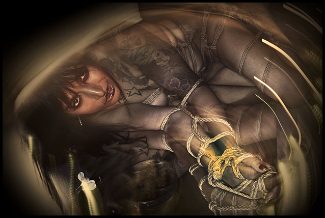 Erotic Photo Art 213