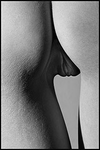 Erotic Photo Art 71
